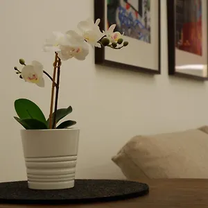 https://apartments-near-augarten.vienna-besthotels.com